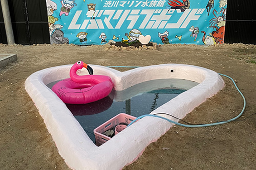 アイコン