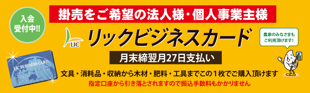 ���b�N�r�W�l�X�J�[�h