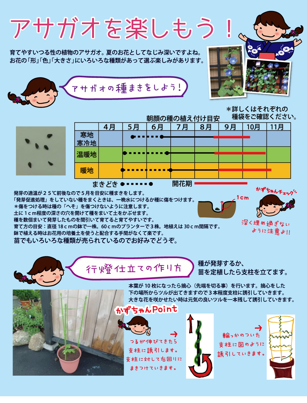 ホームセンター タイム 自転車