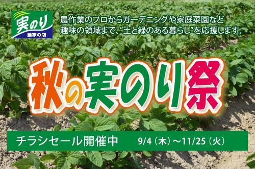 ホームセンタータイム｜公式ホームページ